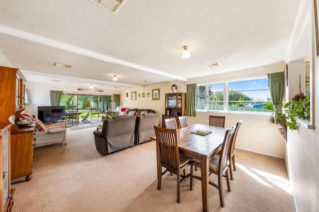 29 Miller Road Mangere Bridge_3