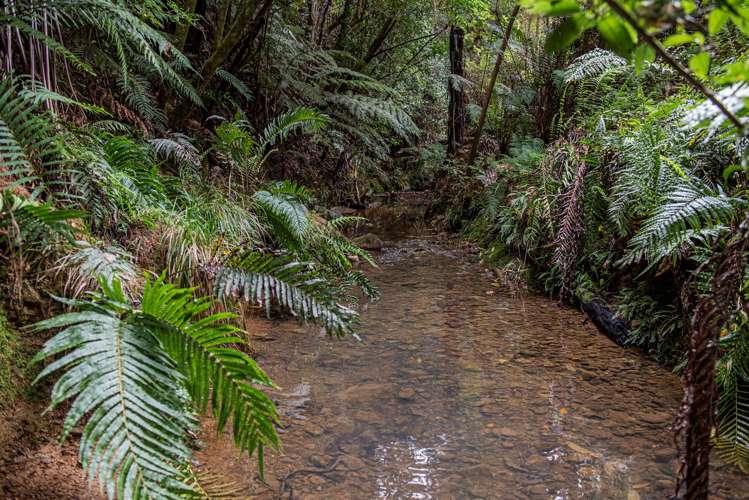 1242 Russell Road Helena Bay_27