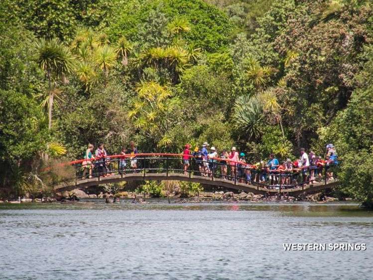 1/18 Shirley Road Grey Lynn_16