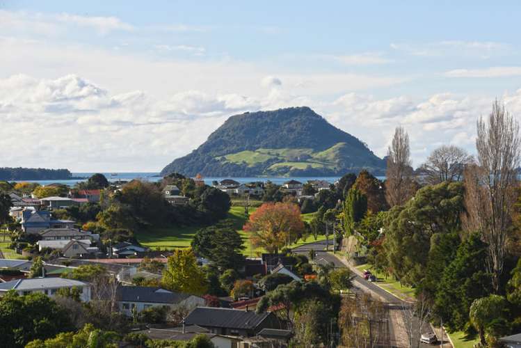 57 Hillcrest Road Otumoetai_0