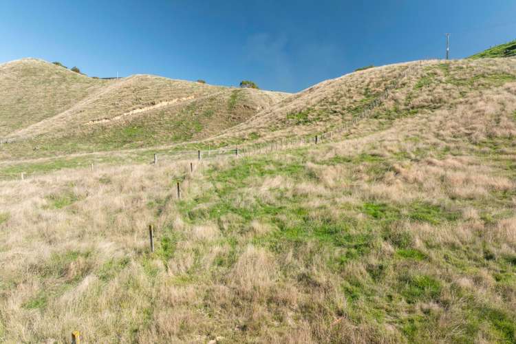 Proposed Lot 2, 67 Hitiri Road_5