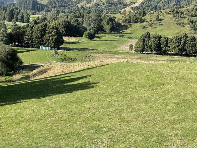 1175 Waitomo Valley Road Waitomo_22