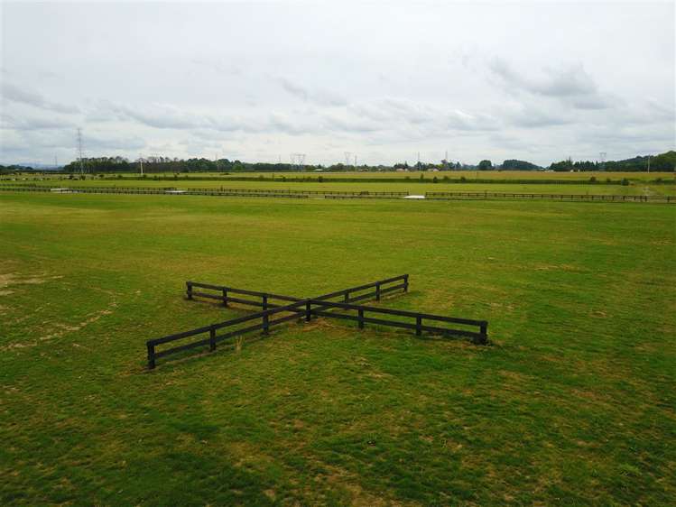 8 Margot Lane Matangi_9