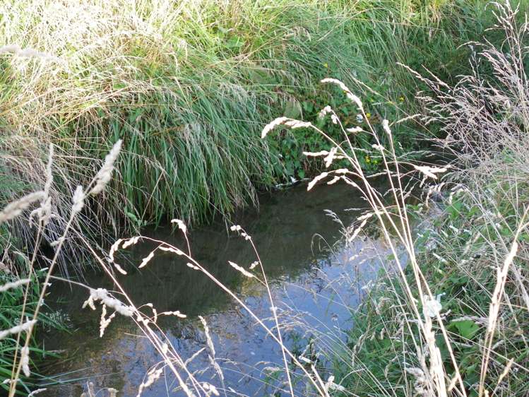 208 Schoolhouse Road Kaikoura_10