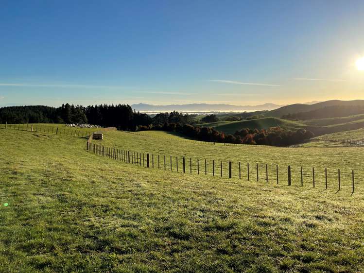 Waterworks Road Te Miro_12