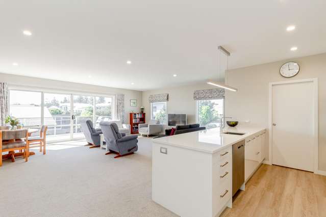 216D Te Awa Avenue Awatoto_4