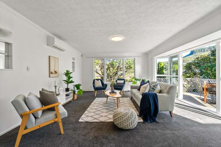 10 Tui Terrace Tawa_1