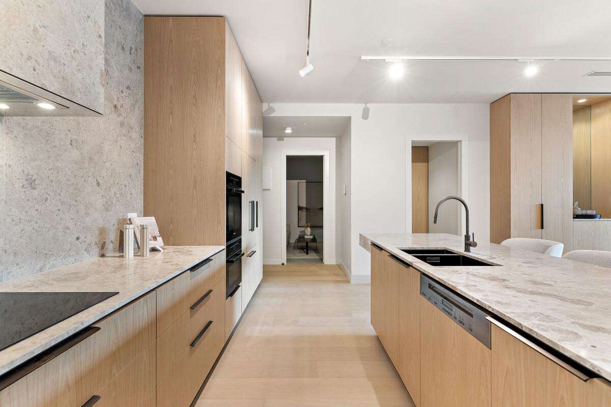 81 Carlton Gore Road_3