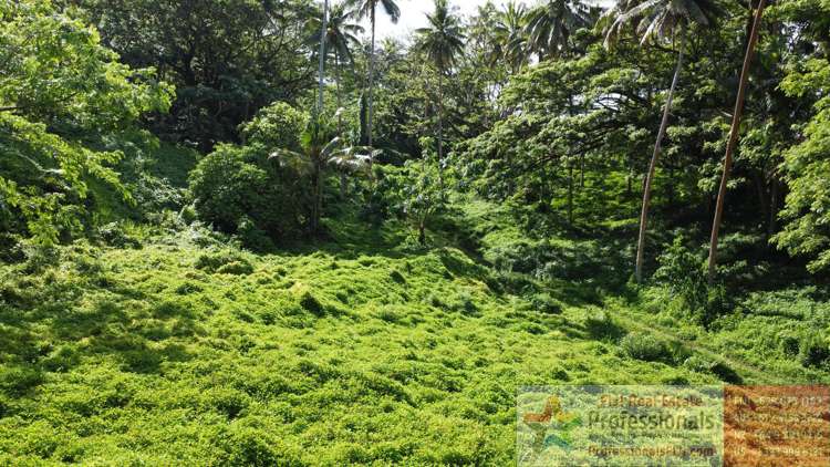 Address withheld Taveuni_16