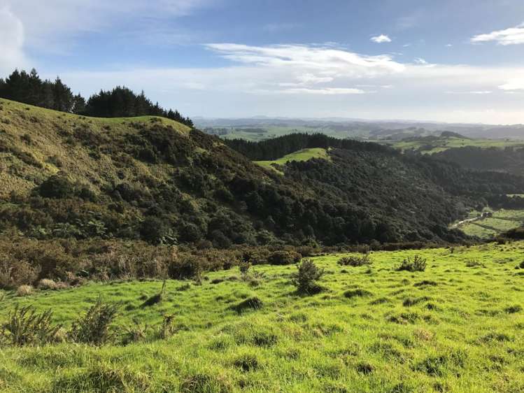 297a Wilson Road Wellsford_9