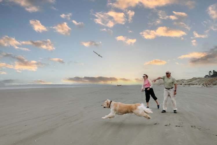 Lot 3 Flax Grove Foxton_14