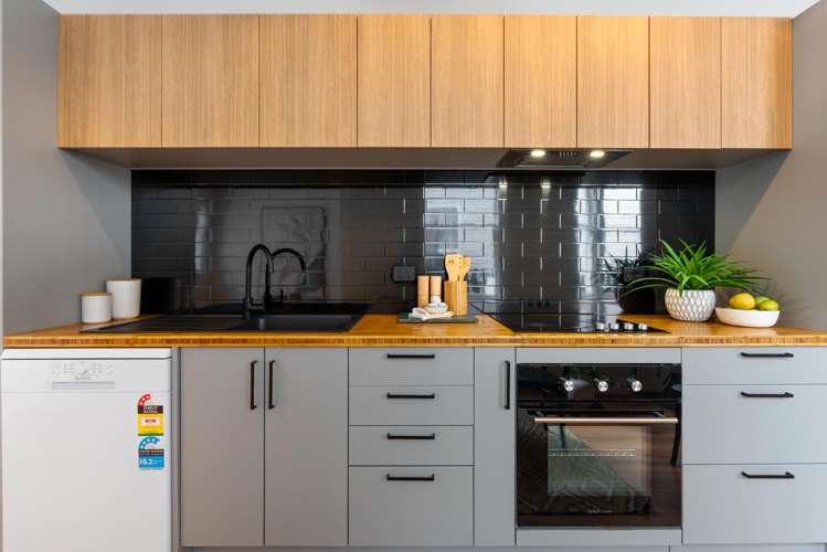 23 Elizabeth Street Mount Victoria_8