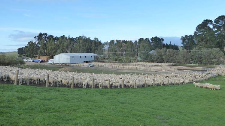 378 Harcus Road Middlemarch_0