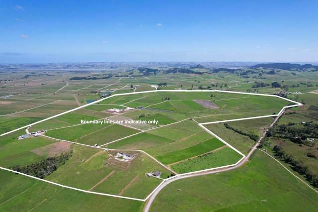 77 Molloy Road Ruawai_3