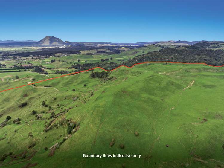 950 Braemar Road Rotoma_9