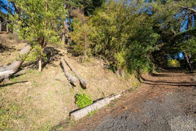 68 Rapaki Road Hillsborough_4