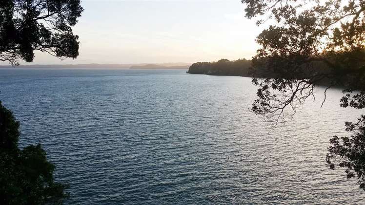 15 Okewa Road Titirangi_13