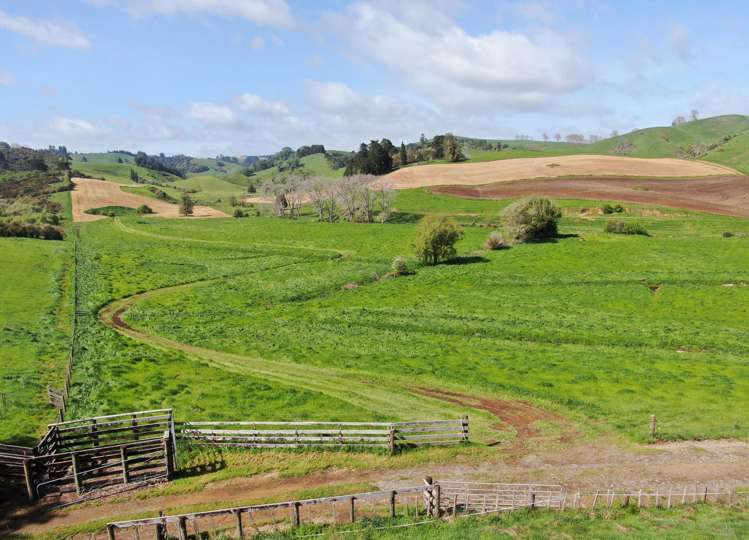 48 Barber Road Otewa_12