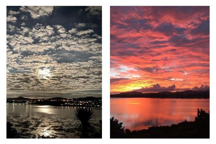 49 Baycroft Avenue Parkvale_31