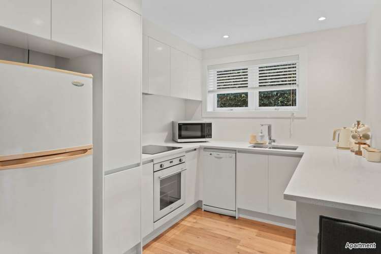 72 Oneill Street Ponsonby_13