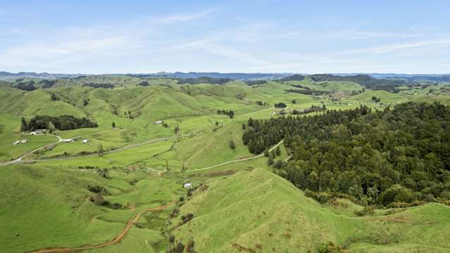 1800 State Highway 4 Te Kuiti_1