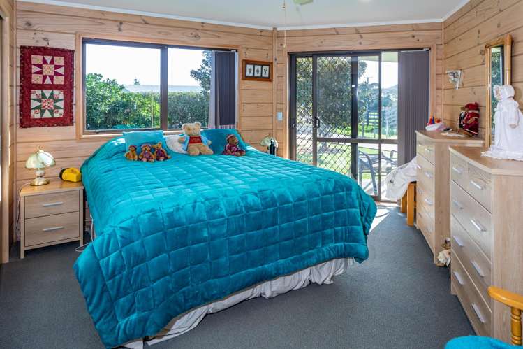 1175 Tiki Road Coromandel_10