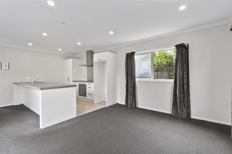 51 Tennille Street 2743_6