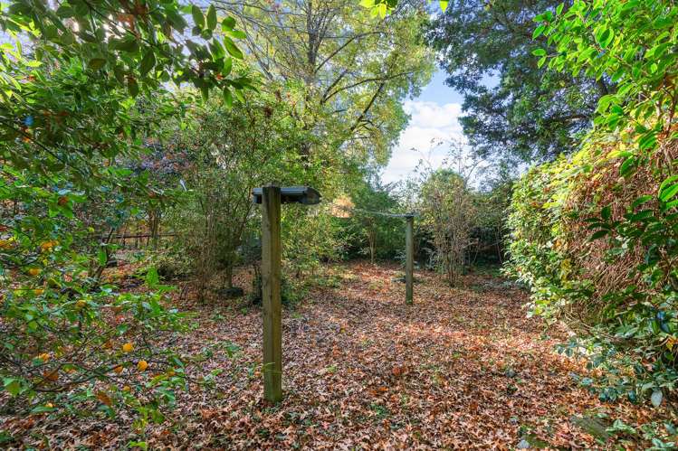 131 Main Street Greytown_19