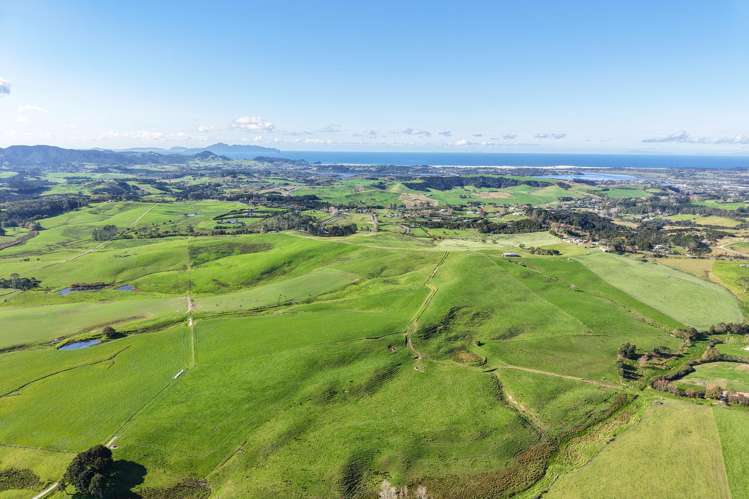 Garbolino and Tara Road Mangawhai_16