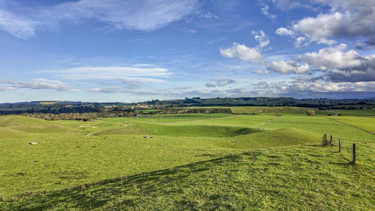 500 Willowford Road Waiwhare_20