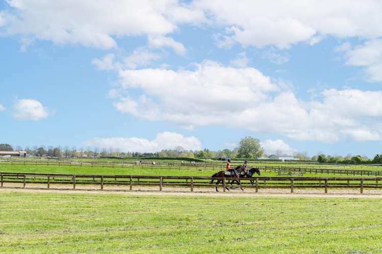 Lot Lot 2/159 Banks Road Matamata_37