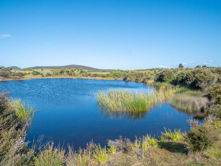 449 Matai Bay Rd Karikari Peninsula_14