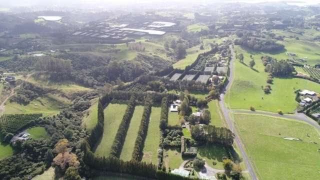 482B Esdaile Road Whakamarama_2