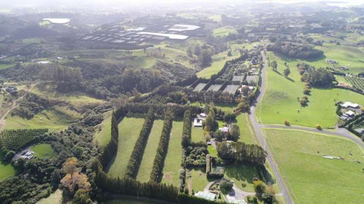 482B Esdaile Road Whakamarama_2