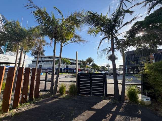 309 Maunganui Road Mt Maunganui_1