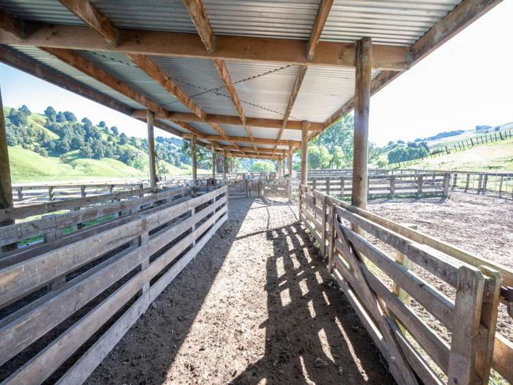 184 Lairdvale Road Taumarunui_13