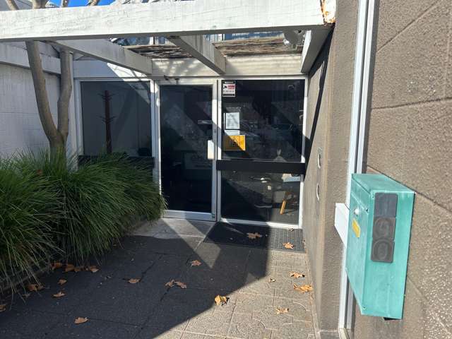 100 Raffles Street Napier South_1