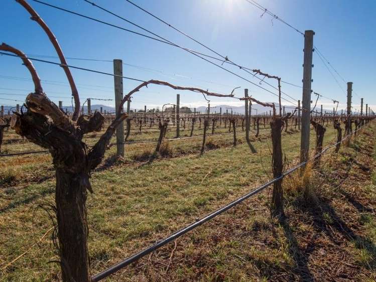 295 Swamp Road Dillons Point_5