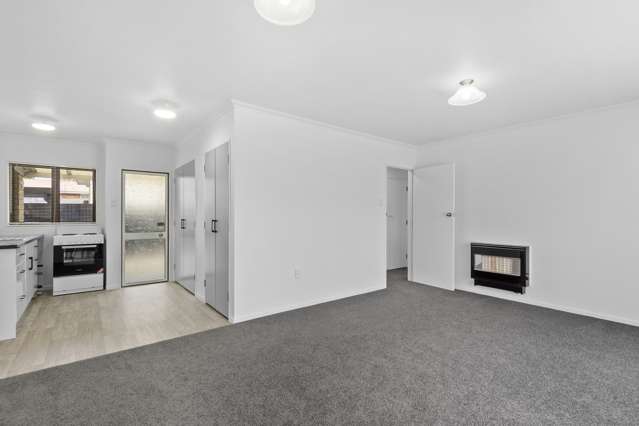 86b Clyde Street Hamilton East_4