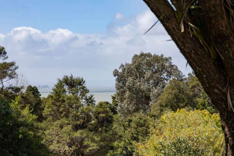 15 Laingholm Drive Laingholm_7