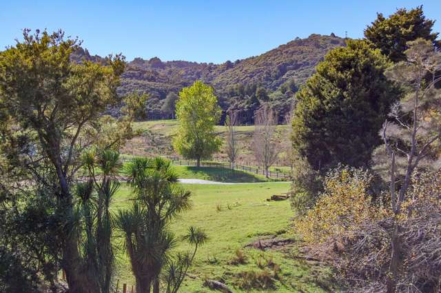 Lot 1 Mountain Road Maungaturoto_2