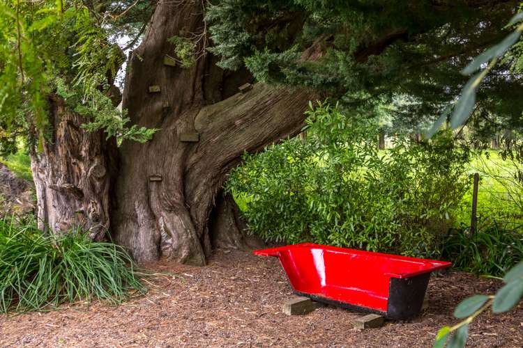 280a State Highway 53 Featherston_23