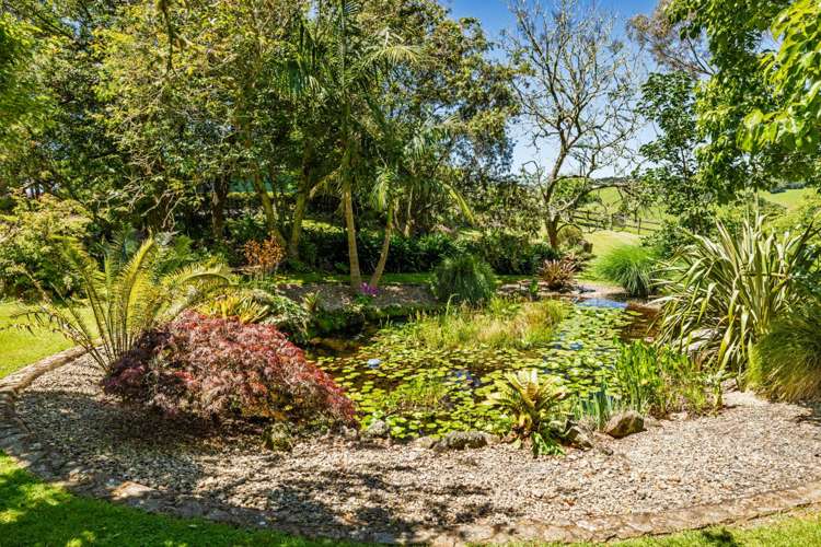 419 Hupara Road Pakaraka_53