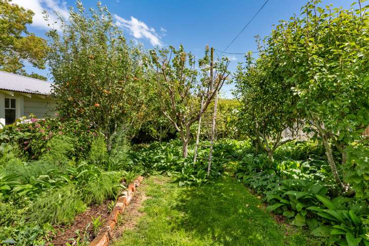 21 White Street Wanganui East_23