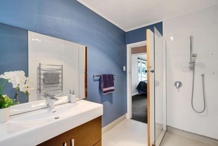 77 Huatoki Street Vogeltown_11