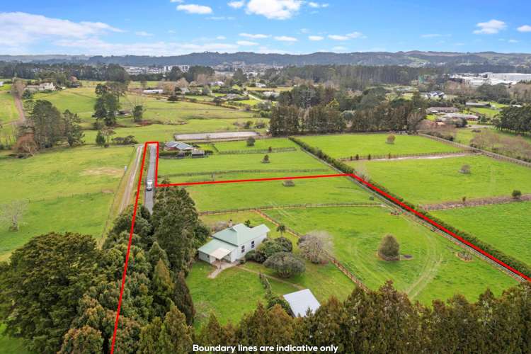 41D Farrand Road Kumeu_23