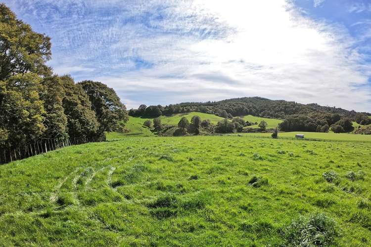 1126 Grove Burn Road Tuatapere_7