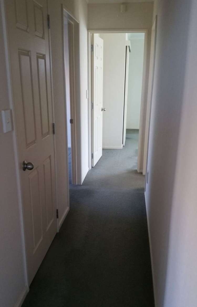 20a Highfields Terrace Henderson_7