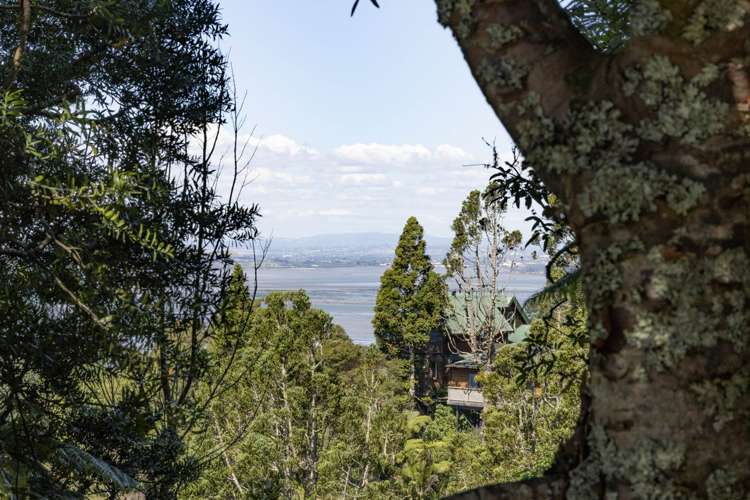 58 Park Road Titirangi_18