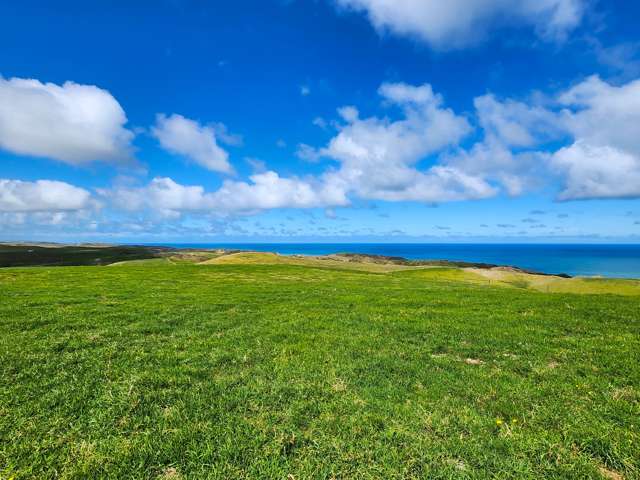 796 Mahuta Road Dargaville Surrounds_4